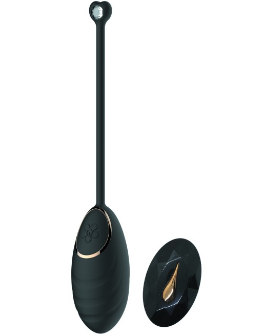 Œuf vibrant noir avec télécommande USB - DAISYBLACK Œuf vibrant noir avec télécommande USB - DAISYBLACK