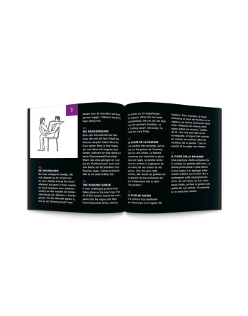 Jeu Sex Roulette 24 Positions Kamasutra - E29278